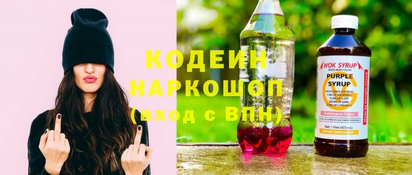 тгк Елизово