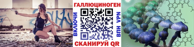 MEGA онион  купить закладку  Магадан  Псилоцибиновые грибы Psilocybe 